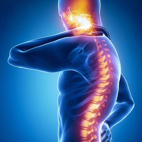 Bewegungs- und Haltungsdiagnostik